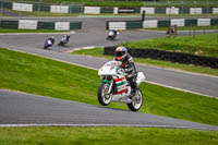 cadwell-no-limits-trackday;cadwell-park;cadwell-park-photographs;cadwell-trackday-photographs;enduro-digital-images;event-digital-images;eventdigitalimages;no-limits-trackdays;peter-wileman-photography;racing-digital-images;trackday-digital-images;trackday-photos